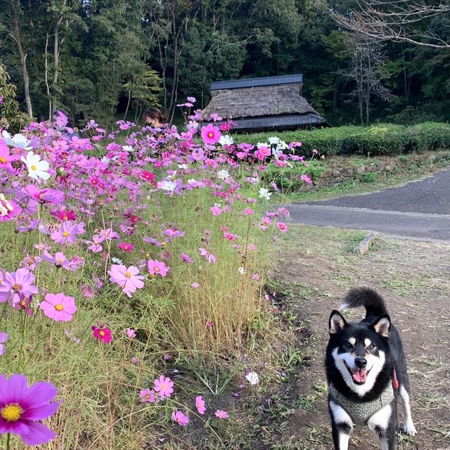 昭和30年代へタイムスリップ