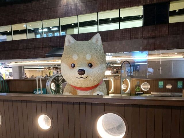 寵物好去處 ~ 沙田新城市 Pets Park 寵物同樂園