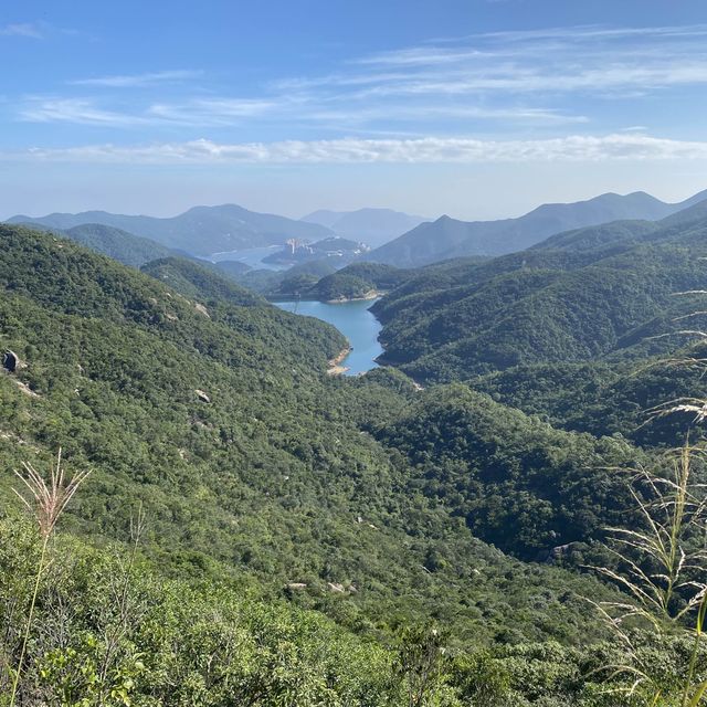 秋高氣爽登高去