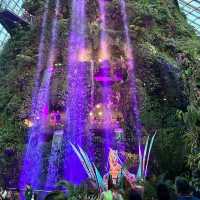 Avatar waterfall Juvenile Mountain Banshee