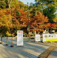 座禅体験　宇治 興聖寺