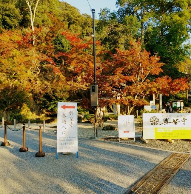 座禅体験　宇治 興聖寺