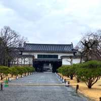 春の二条城