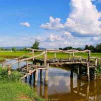 ทุ่งนา สะพานไม้ ใบเสมาหินโบราณ เต่างอย สกลนคร