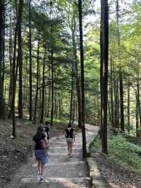 Cedar Falls in Hocking Hills