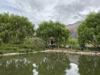 Humedal De Huasao - Peru 