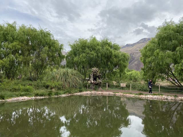 Humedal De Huasao - Peru 