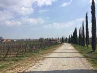 jogging around Cortona 