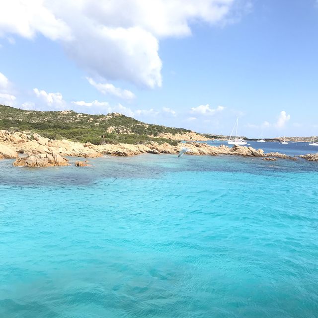 blue sardinia