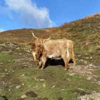 Conic Hill in Scotland