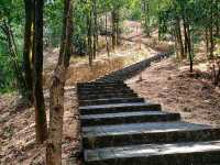 Yunti Mountain ⛰ | Stairway to Paradise!