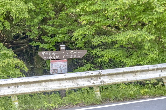 新緑の小仏バス停付近