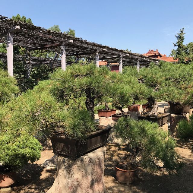 Daimiao Temple Taishan Mountain