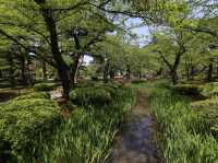 日本金澤兼六園