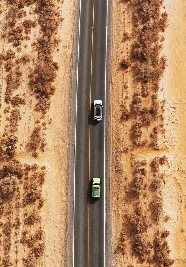 Taklamakan | Xinjiang has more than just grasslands, there are also deserts! A trip to southern Xinjiang.