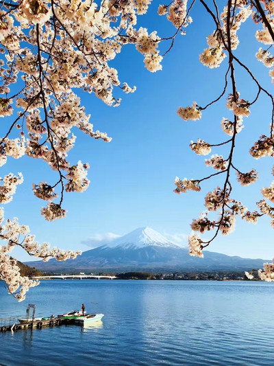 Lake Kawaguchi | The most beautiful scenic spot of Mount