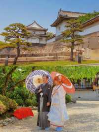 Osaka Castle | Witness the peak of the Toyotomi Hideyoshi era