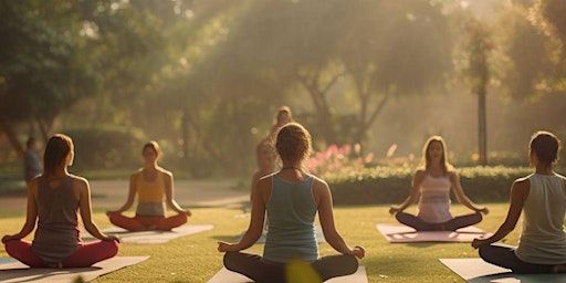 7 Week Beginners Tai Chi & Qigong Course | Brabyns Park, Brabyns Brow, Marple Bridge, Stockport, UK