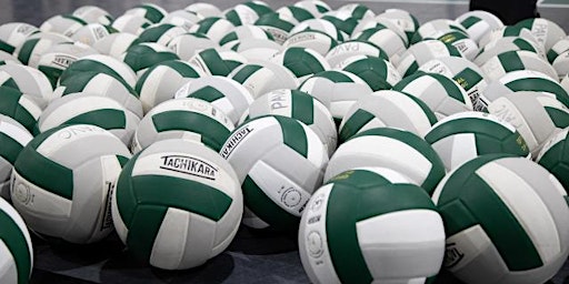 Shamrock Showdown Volleyball Tournament | 3980 Dutch Hollow Rd
