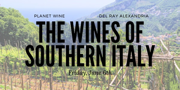 The Wines of Southern Italy: A Tasting and Class | Planet Wine