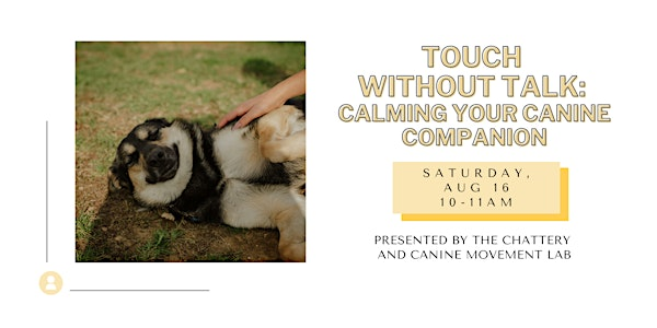 Touch Without Talk: Calming Your Canine Companion | The Chattery Downtown