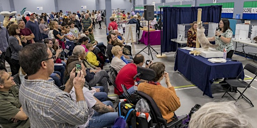 Ottawa Cat Show 2025 | Nepean Sportsplex