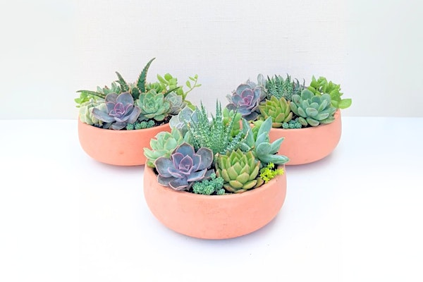 Autumn Succulent Workshop | Toronto Botanical Garden