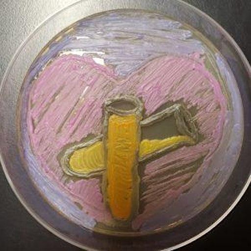 Microbe Art Worlds (for ages 9-14) | Baltimore Under Ground Science Space