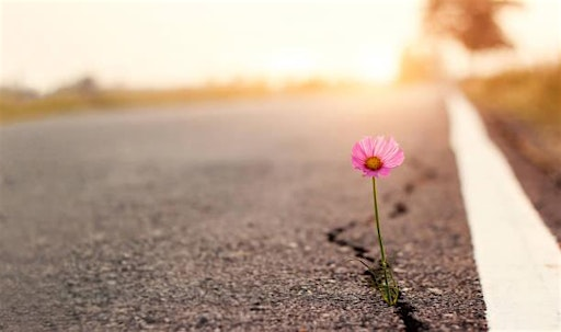 Spiritual Hope - a  one-day retreat with Jake Dartington | Whirlow Spirituality Centre