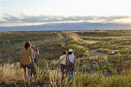 Watching Grass Grow: A Closeup Look at Prairie Ecology | Jim Hamm Nature Area