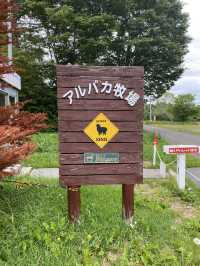 アルパカ牧場