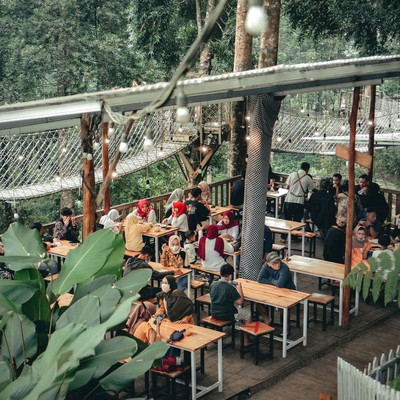 Forest kopi on sale
