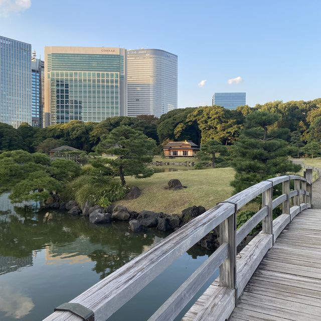 東京〝浜離宮恩賜庭園〟