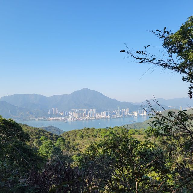 擁有獨特的生態價值｜鹿頸 
