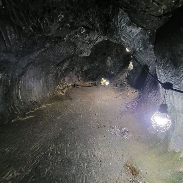 【山梨】富士山のお腹に入れる！洞窟～船津胎内樹型