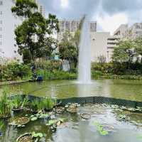 荃灣城門谷公園