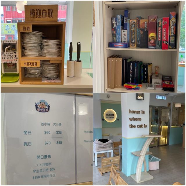 旺角太子·極悠閑貓cafe 旺角太子·極悠閑貓cafe