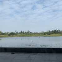 濕地公園