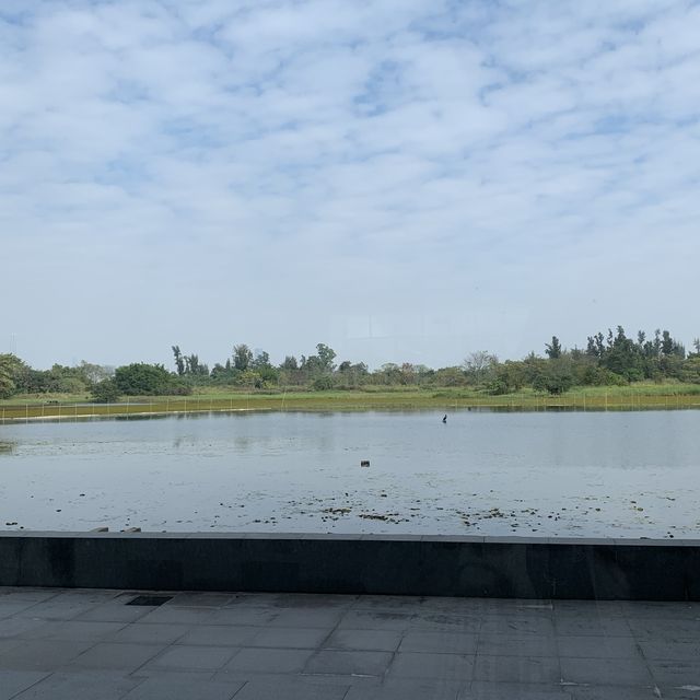 濕地公園 濕地公園