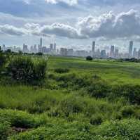 沿梧桐河行走，一路飽覽深圳和香港的城鄉美景