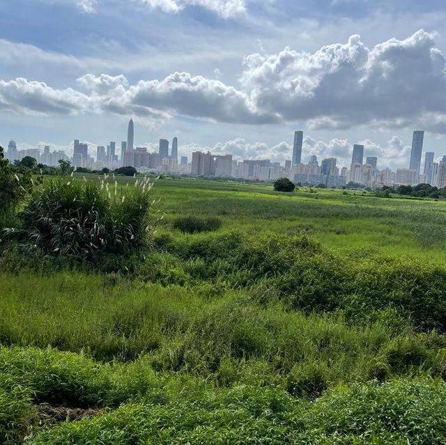 沿梧桐河行走，一路飽覽深圳和香港的城鄉美景