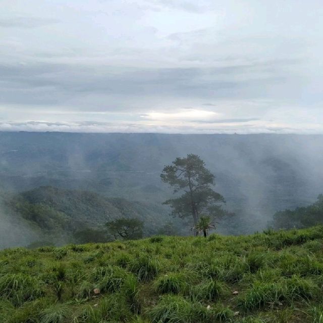 ดอยหลวงตาก ที่คนสายเดินป่าไม่ควรพลาด