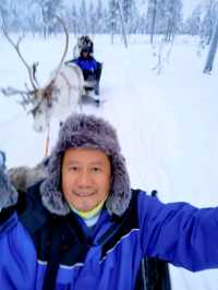 Reindeer Sleigh Ride @Lapland 
