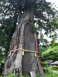 【長野・長野市】戸隠神社５社巡り③（2）