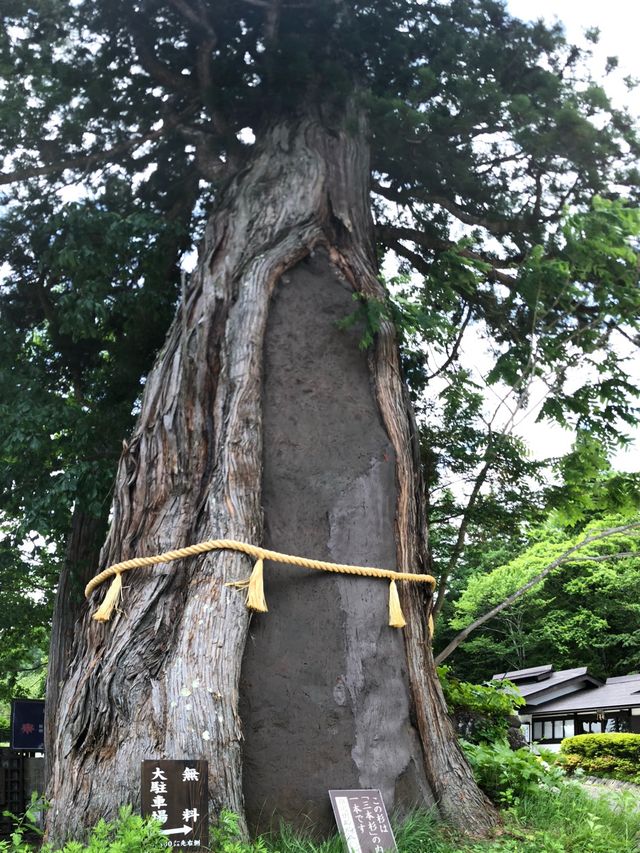 【長野・長野市】戸隠神社５社巡り③（2）