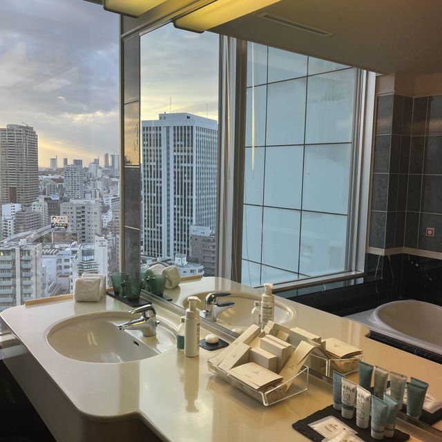 【東京タワーの真横ホテル🗼】ザプリンスパークタワーホテル！