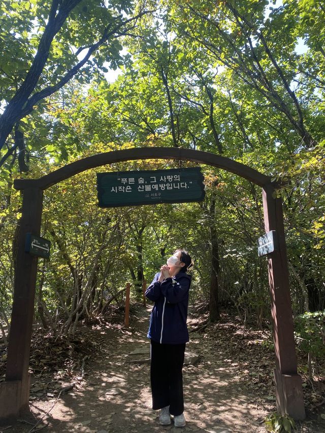 등린이 입문으로 추천하는 청계산⛰