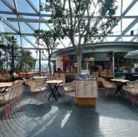 A great experience at Canopy Park 