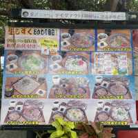 【沖縄】海を眺めながらいただく絶品もずく料理