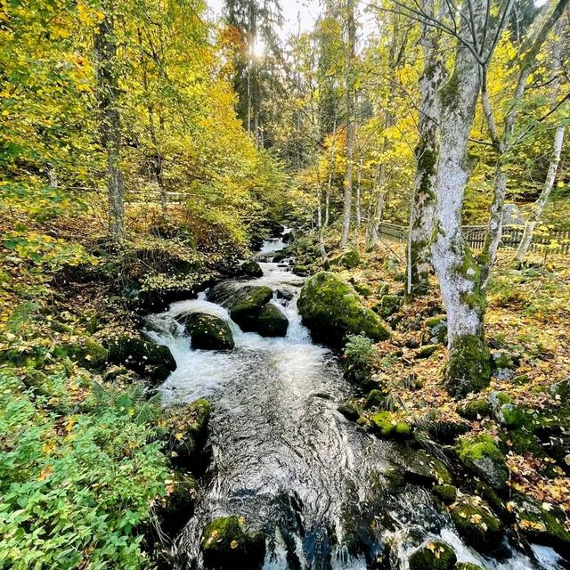 The Triberg Waterfalls at Black Forest